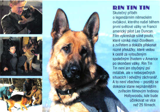 RIN TIN TIN